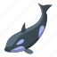 killer, whale, jump, isometric 
