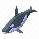 hungry, killer, whale, isometric