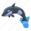 killer, whale, isometric 