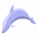 dolphin, isometric, sea