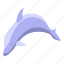 dolphin, isometric, sea 