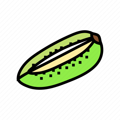Cut, green, kiwi, fruit, fresh, slice icon - Download on Iconfinder