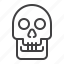 skull, anatomy, science, death 