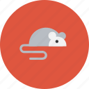 animal, experiment, laboratory, mouse, pet, research, test