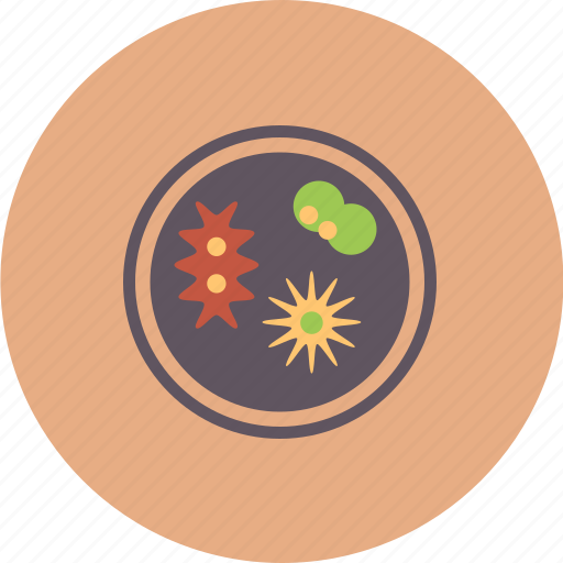 Bactery, biology, experiment, laboratory, organism, science, virus icon - Download on Iconfinder