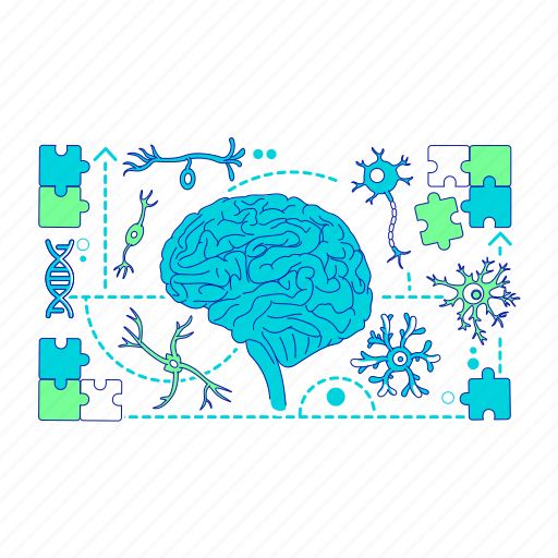 Brain, neurology, science, study, head illustration - Download on Iconfinder