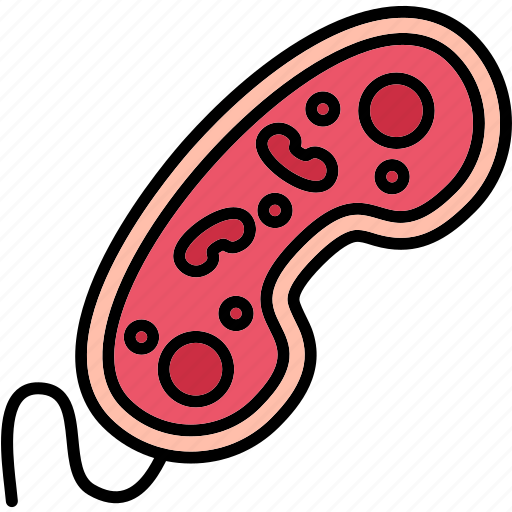 Bacteria, biology, cell, pathogenic, science icon - Download on Iconfinder
