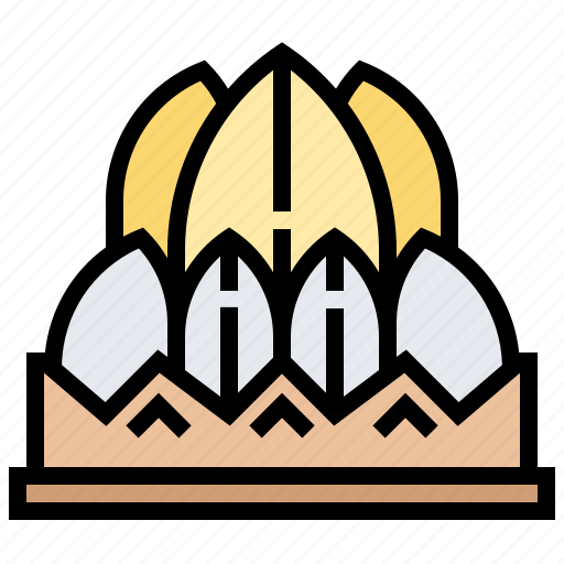 Architecture, india, lotus, temple, travel icon - Download on Iconfinder
