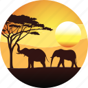 africa, elephant, horizon, landscape, nature, safari, savanah, sunset, tourizm, travel 