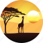 africa, giraffe, horizon, landscape, nature, safari, savanah, sunset, tourizm, travel 