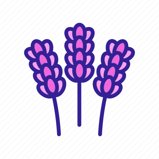 Contour, element, floral, flower, lavender, plant icon - Download on Iconfinder