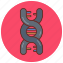 dna, genetic, material, clastogenic, chromosome, deoxyribonucleic, acid, ribonucleic, code