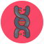 dna, genetic, material, clastogenic, chromosome, deoxyribonucleic, acid, ribonucleic, code 