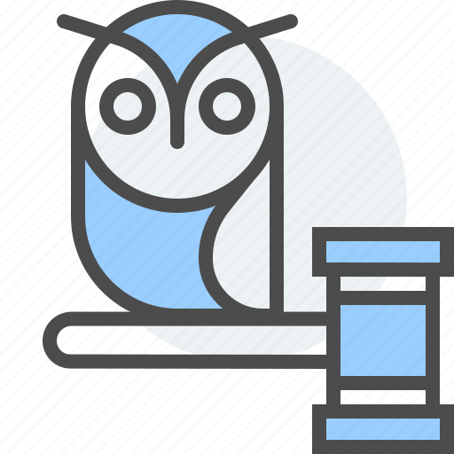 Education, law, legal, owl, school, student, teacher icon - Download on Iconfinder