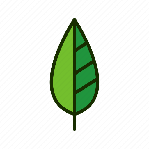 Eco, leaf, natural, nature, plant icon - Download on Iconfinder