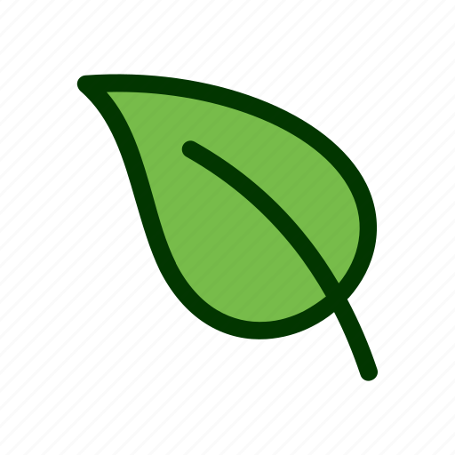 Eco, leaf, natural, nature, plant icon - Download on Iconfinder