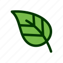 eco, leaf, natural, nature, plant 