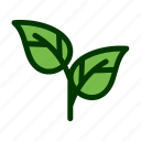 eco, leaf, natural, nature, plant