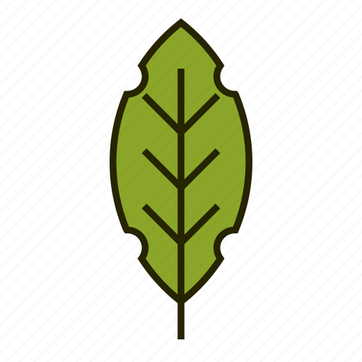 Bio, leaf, nature, organic icon - Download on Iconfinder