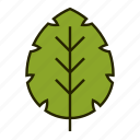 bio, leaf, nature, organic