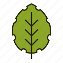 bio, leaf, nature, organic