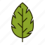 bio, leaf, nature, organic 
