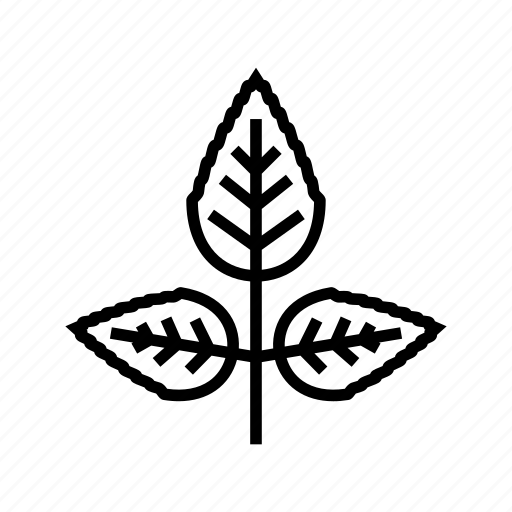 Rose, flower, leaf, tree, bush, maple, oak icon - Download on Iconfinder