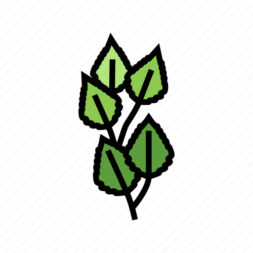 Birch, leaf, tree, bush, flower, maple icon - Download on Iconfinder