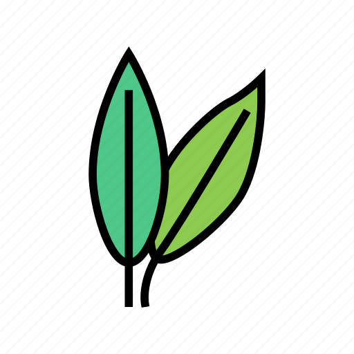 Cherry, leaf, tree, bush, flower, maple icon - Download on Iconfinder