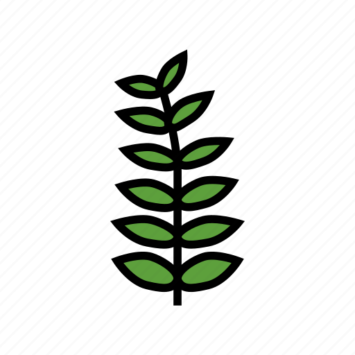 Walnut, leaf, tree, bush, flower, maple icon - Download on Iconfinder