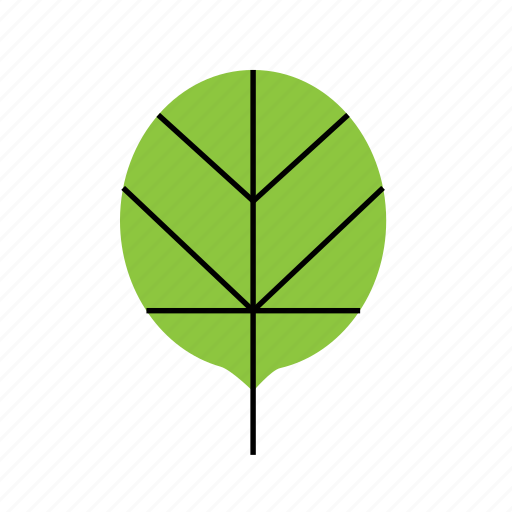 Floral, leaf, summer, tree, tropical icon - Download on Iconfinder
