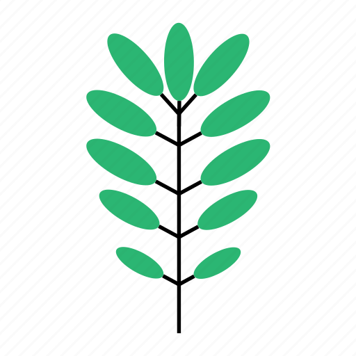 Floral, leaf, summer, tree, tropical icon - Download on Iconfinder