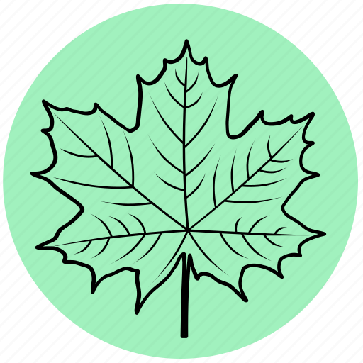 Forest, garden, leaf, liner, maple, nature, tree icon - Download on Iconfinder
