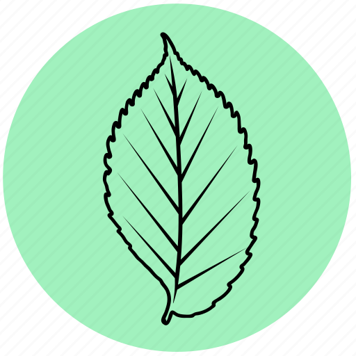 Eco, elm, floral, forest, leaf, liner, nature icon - Download on Iconfinder