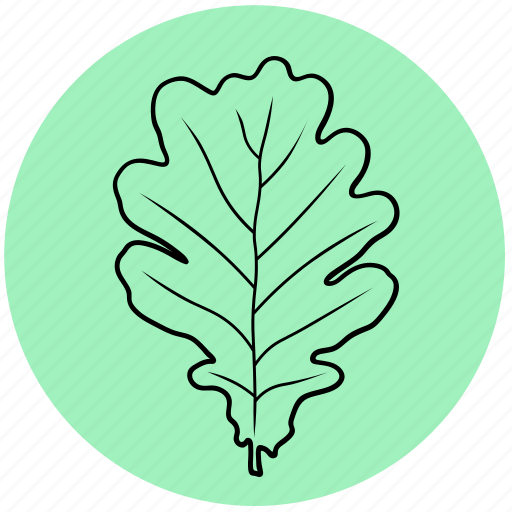 Ecology, forest, leaf, liner, nature, oak, tree icon - Download on Iconfinder