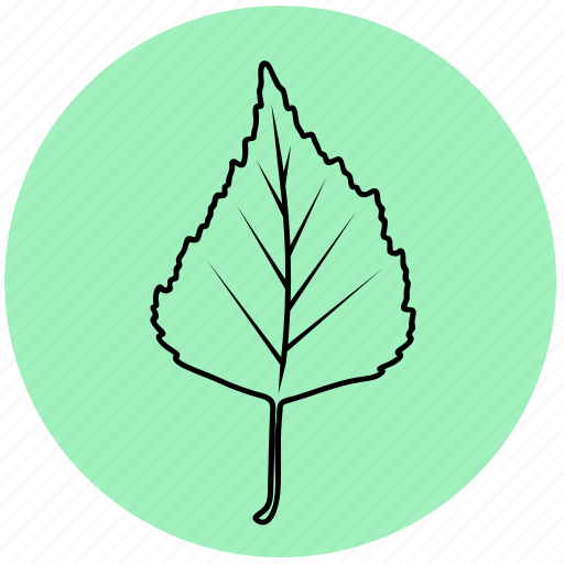 Birch, eco, forest, leaf, liner, nature, tree icon - Download on Iconfinder