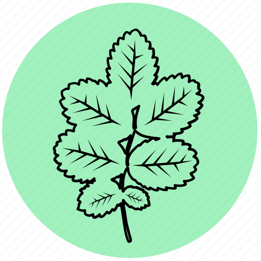 Dog-rose, ecology, garden, leaf, liner, plant, rose icon - Download on Iconfinder