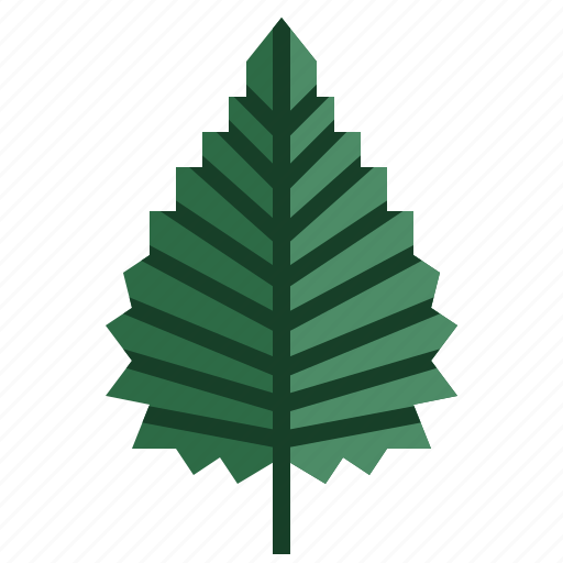 Birch, tree, garden, leaves, autumn icon - Download on Iconfinder