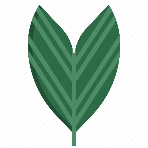 Chamaedorea, palm, tree, leaf, nature icon - Download on Iconfinder
