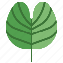 mandaram, garden, tree, botanical, leaf 