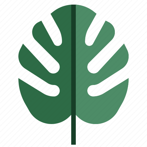 Monstera, botanical, tropical, blossom, nature icon - Download on Iconfinder
