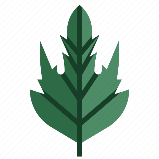 Whitethorn, leaf, autumn, plant, botanical icon - Download on Iconfinder