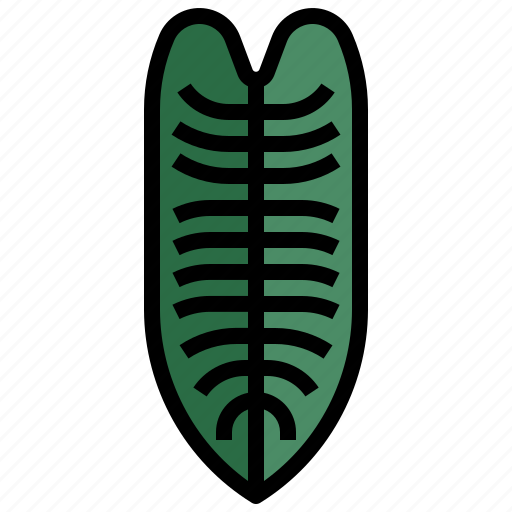 Sharoniae, philodendron, xanadu, leaf, plant, nature icon - Download on Iconfinder
