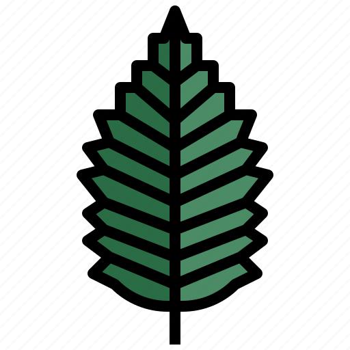 Elm, leaves, tree, botanical, leaf icon - Download on Iconfinder