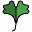 ginkgo, plant, healthcare, medical, leaves, autumn