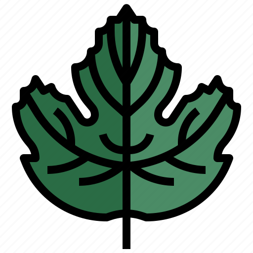 Grape, leaf, leaves, plant, botanical icon - Download on Iconfinder