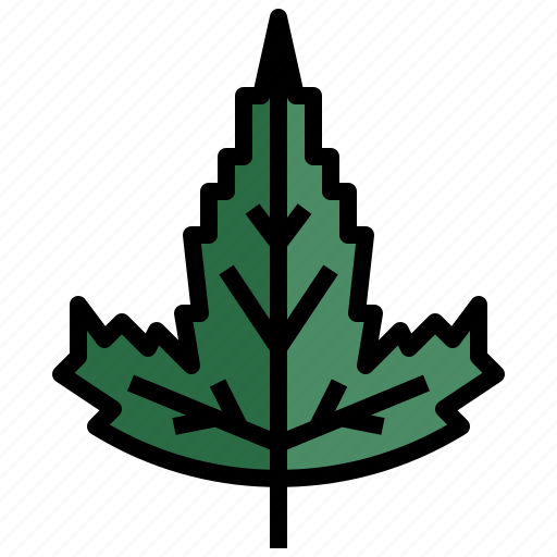 Tatarian, maple, palm, tree, nature, cultures icon - Download on Iconfinder