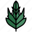 whitethorn, leaf, autumn, plant, botanical 
