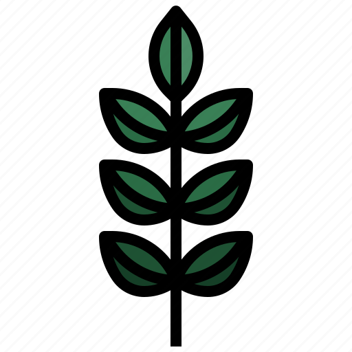 Ash, leaf, maple, autumn, plant, botanical icon - Download on Iconfinder