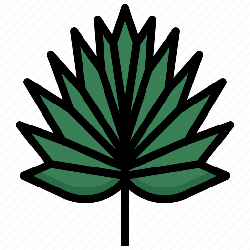 Fan, plam, tropical, nature, botanical, leaf icon - Download on Iconfinder
